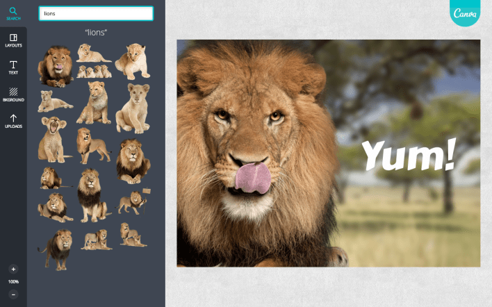 canva2