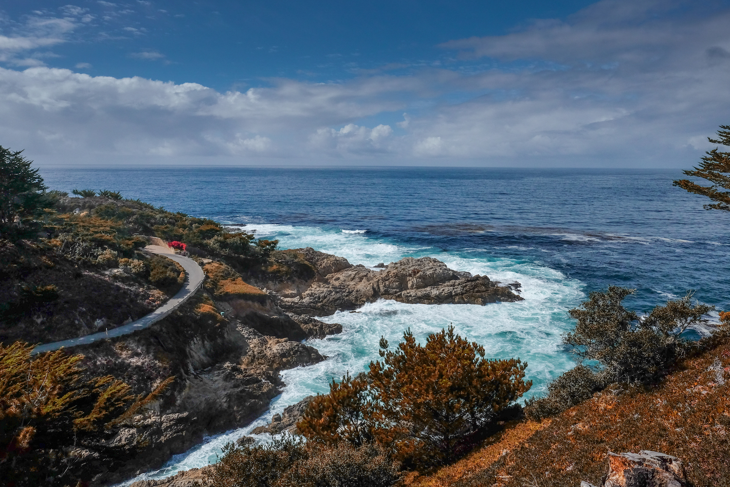 BigSur-