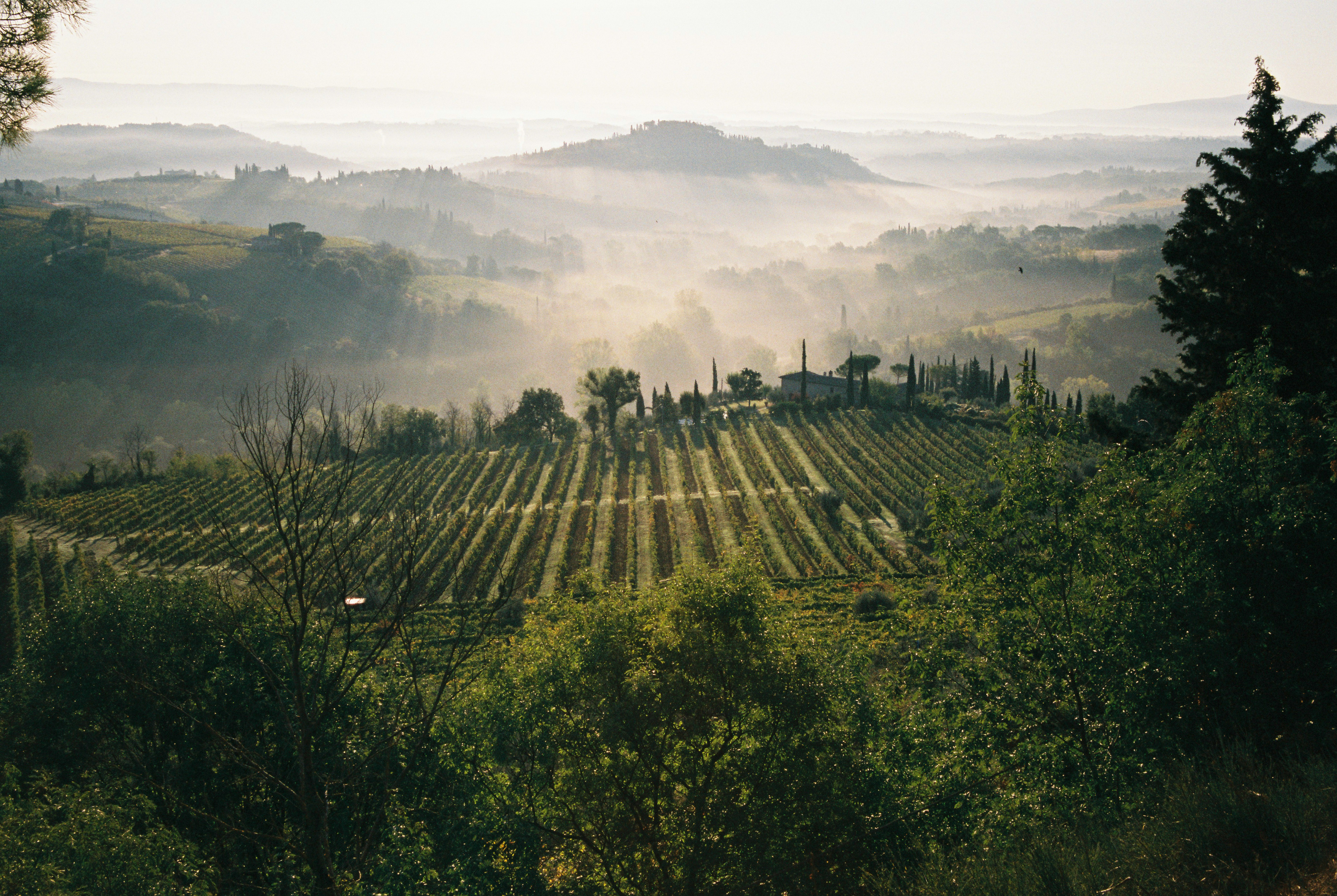 OM171017SE006153-20171019-11 copy