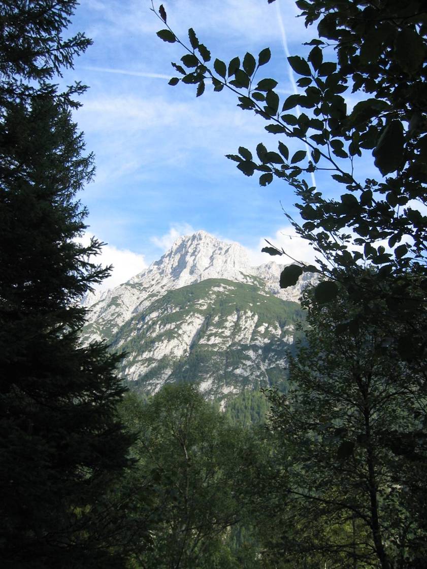 alps-pict.jpg