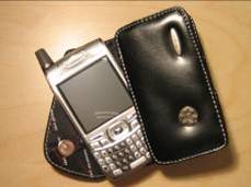 treo700p.jpg