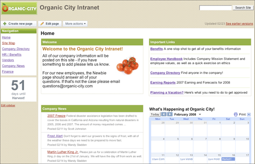 google_sites_intranet_page.gif
