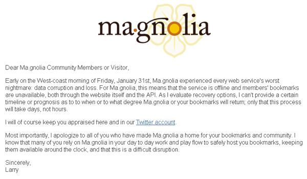 magnolia magnolia
