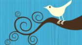 twitter-bird