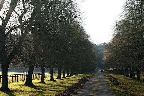 alonewalkingdowntheroad.jpg