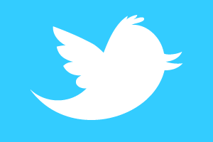 twitter_newbird_boxed_whiteonblue