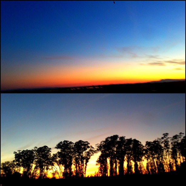 20121111-195316.jpg