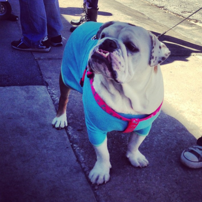 The location-centric app Highlight put Highlight t-shirts on some adorable dogs in Austin this weekend to promote the company. (And gather up dog fans.)