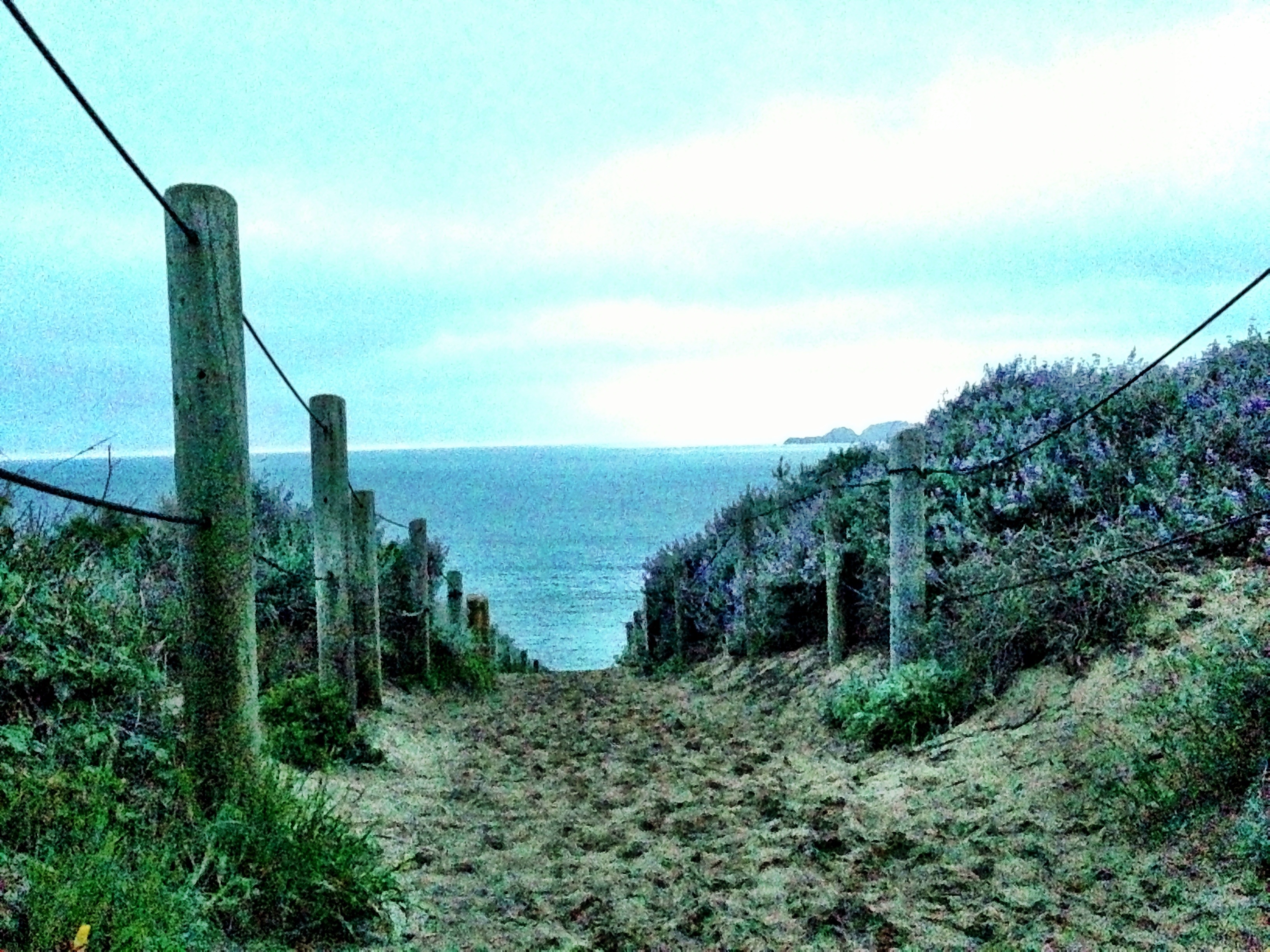 20130407-060915.jpg