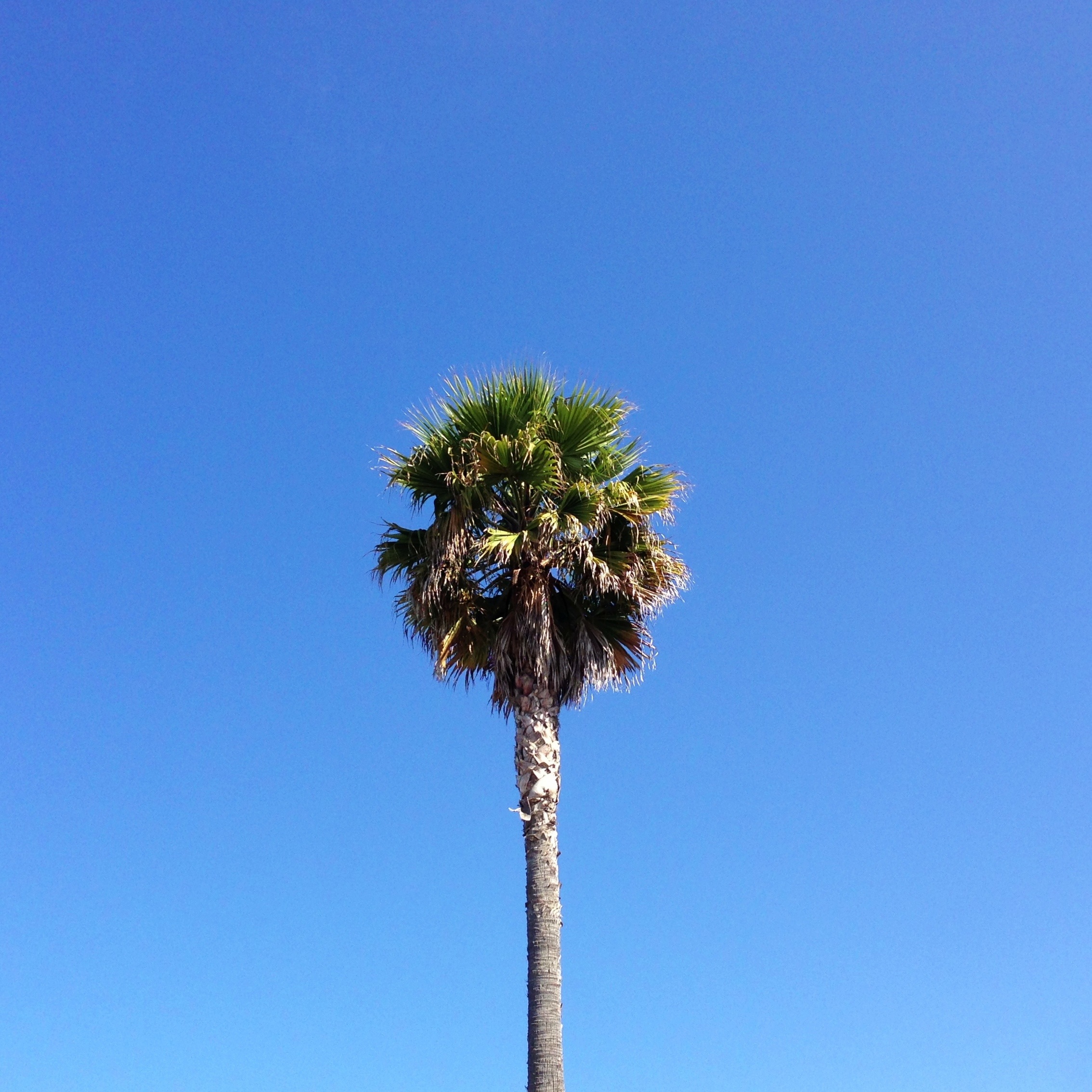 20130614-125845.jpg
