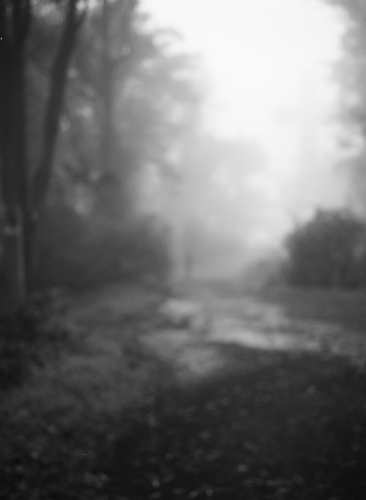 Photo by @Om (http://om.co)