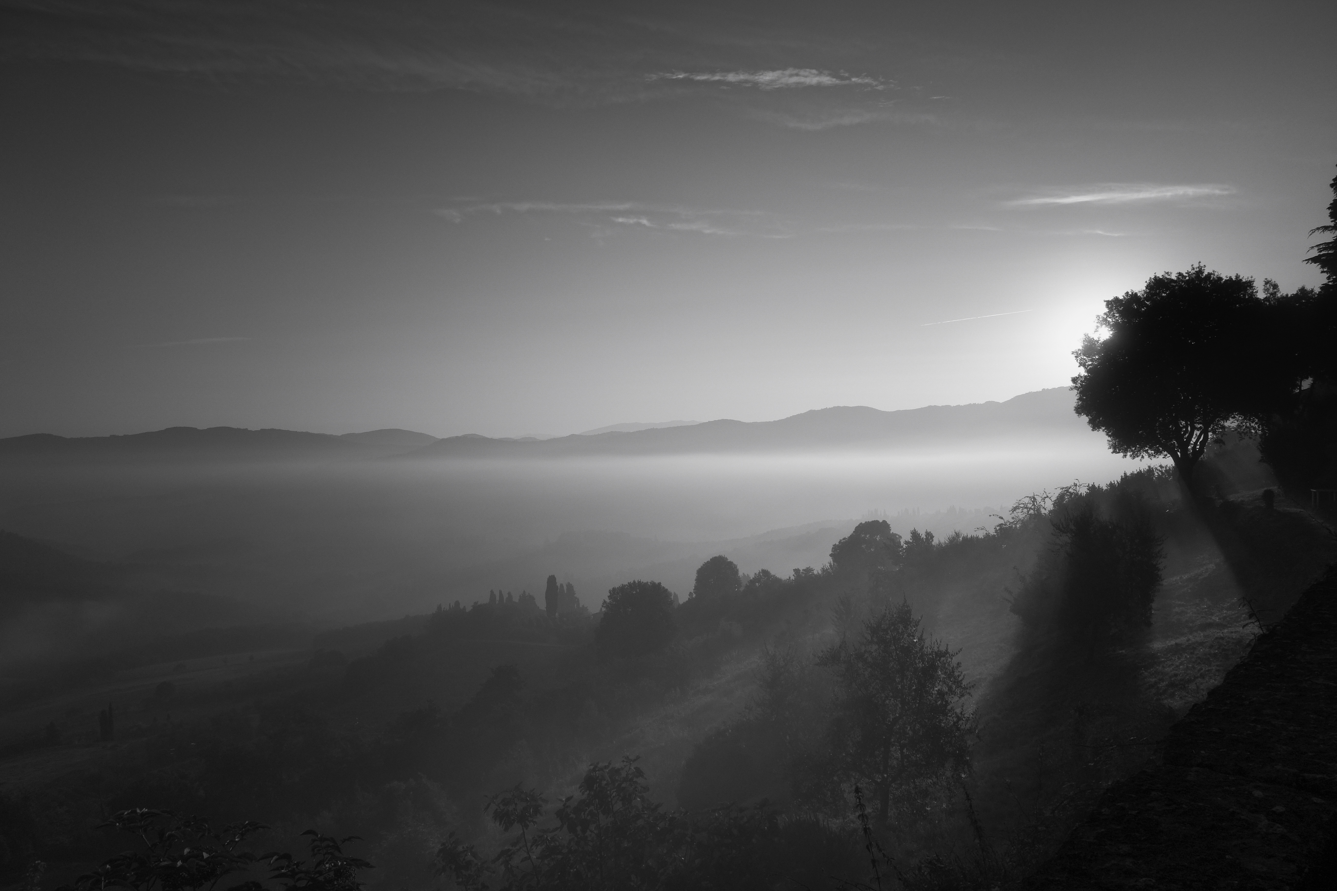 Tuscany2015-B&W-14.jpg