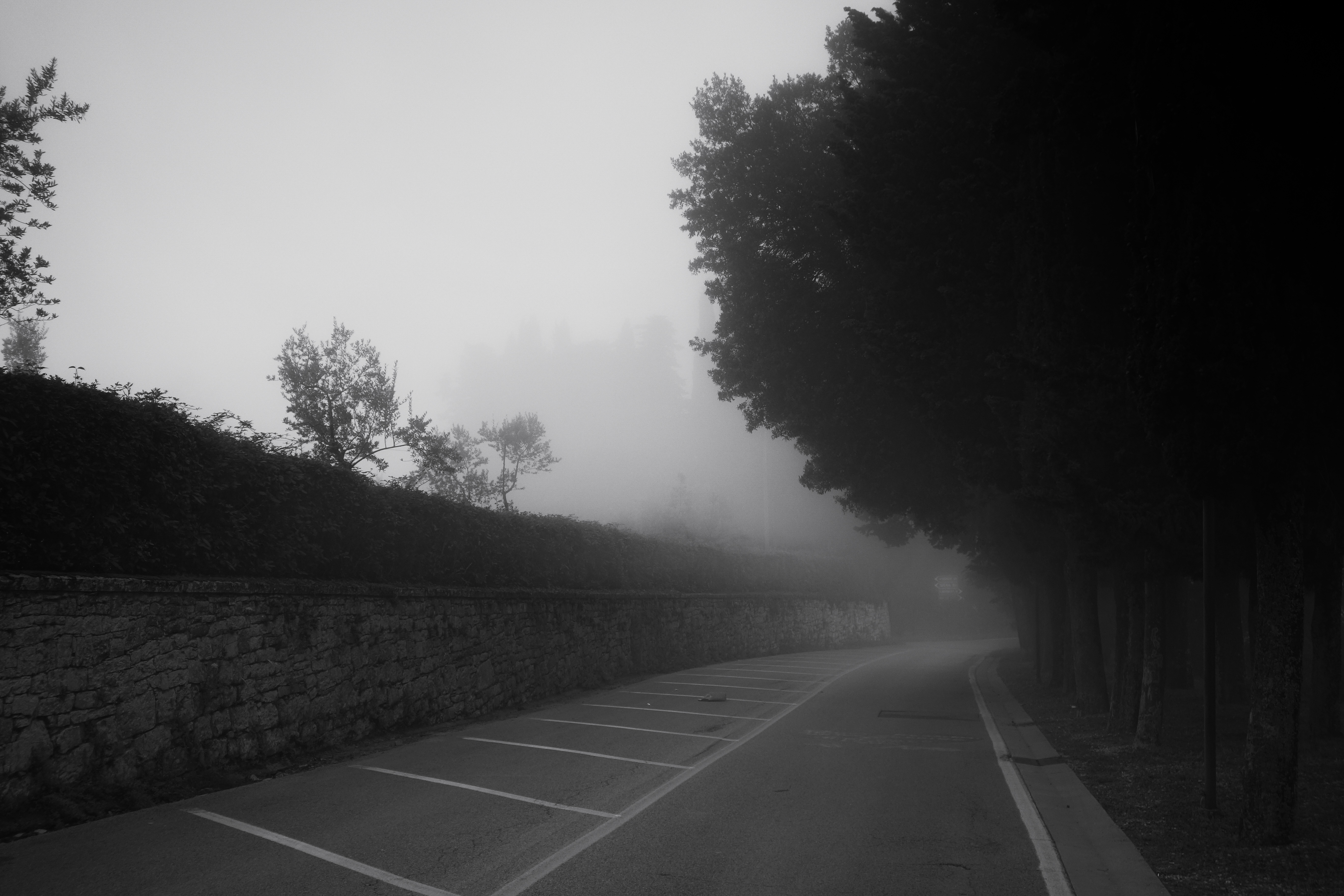 Tuscany2015-B&W-8.jpg
