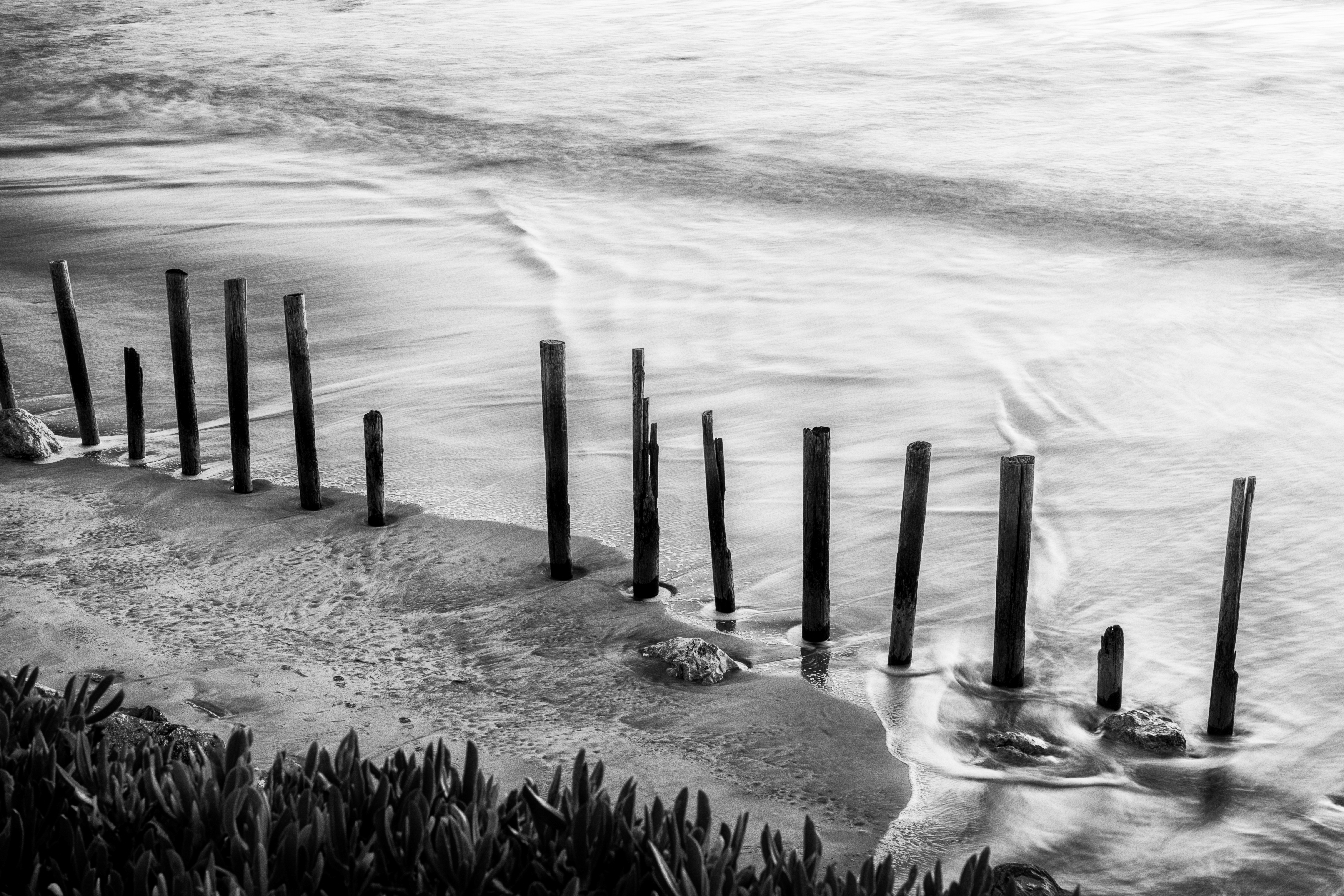 CaliforniaCoast-Miramar-Dec272016-15.jpg